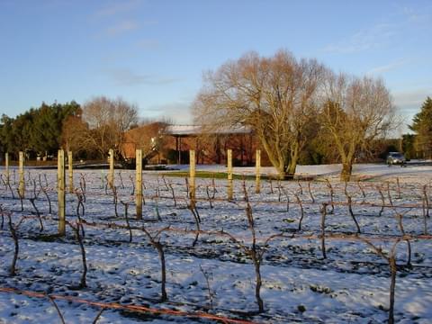 The Winery Block Vineyard - Torlesse The Winery Block Vineyard - Torlesse