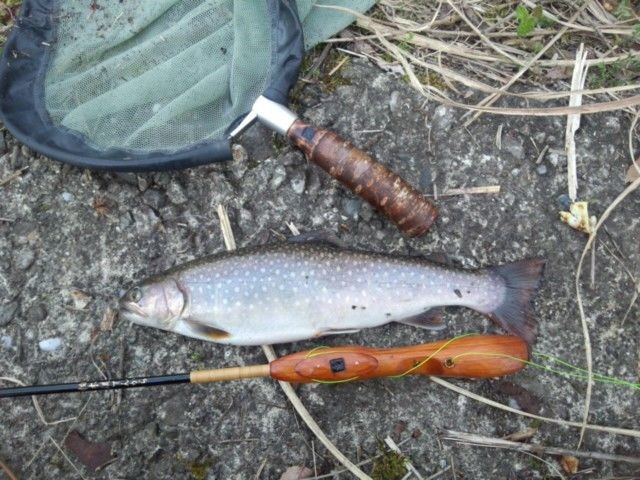 柏木流テンカラ 公式ウェブサイト on Strikingly