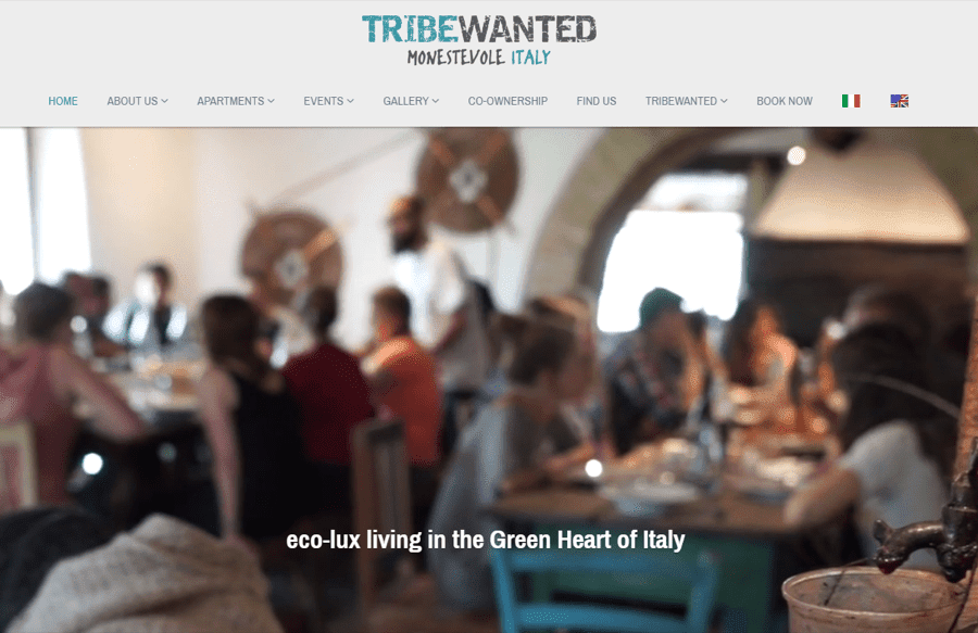 Tribe Wanted Website