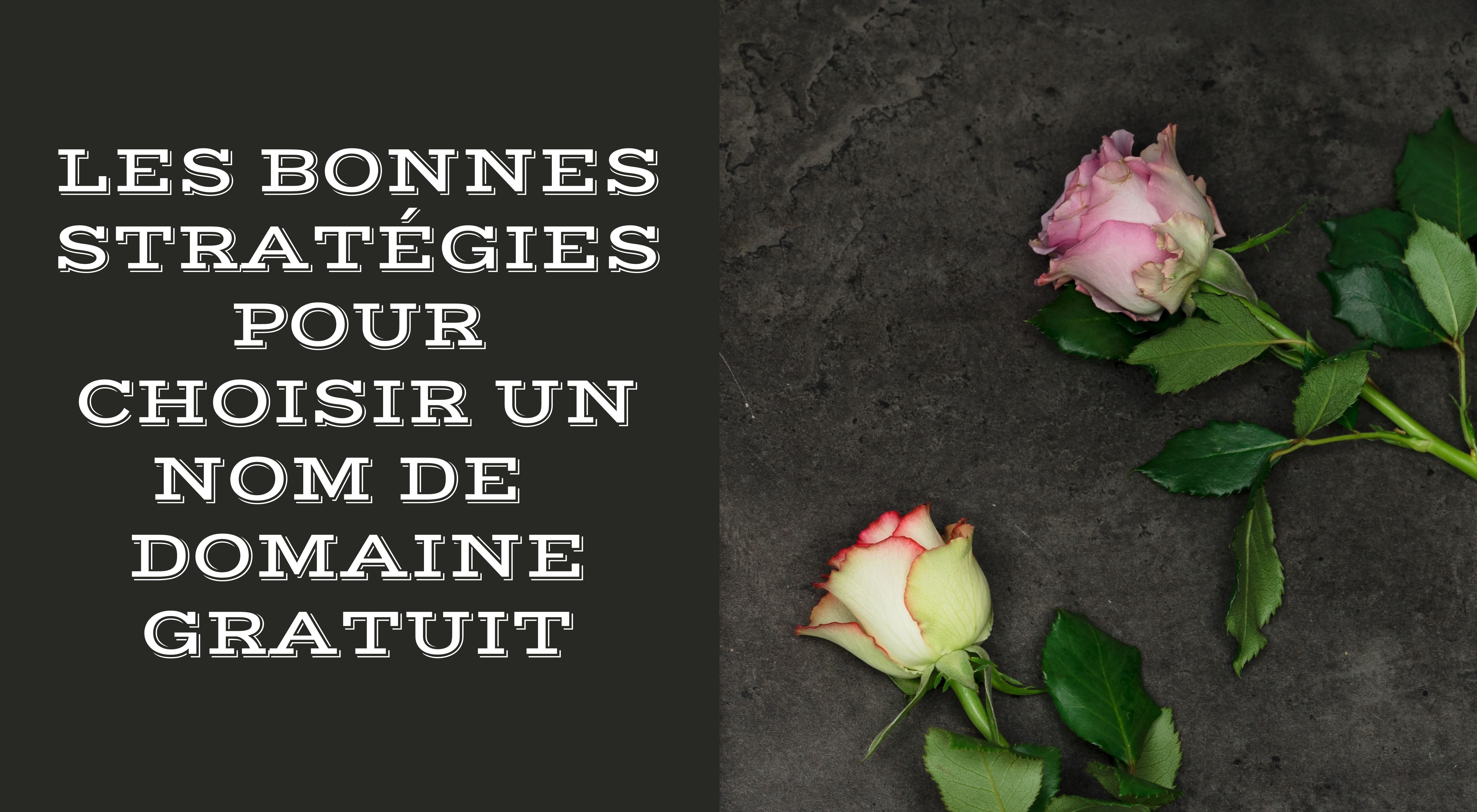 Les bonnes stratégies pour choisir un nom de domaine gratuit Créer votre site web Strikingly