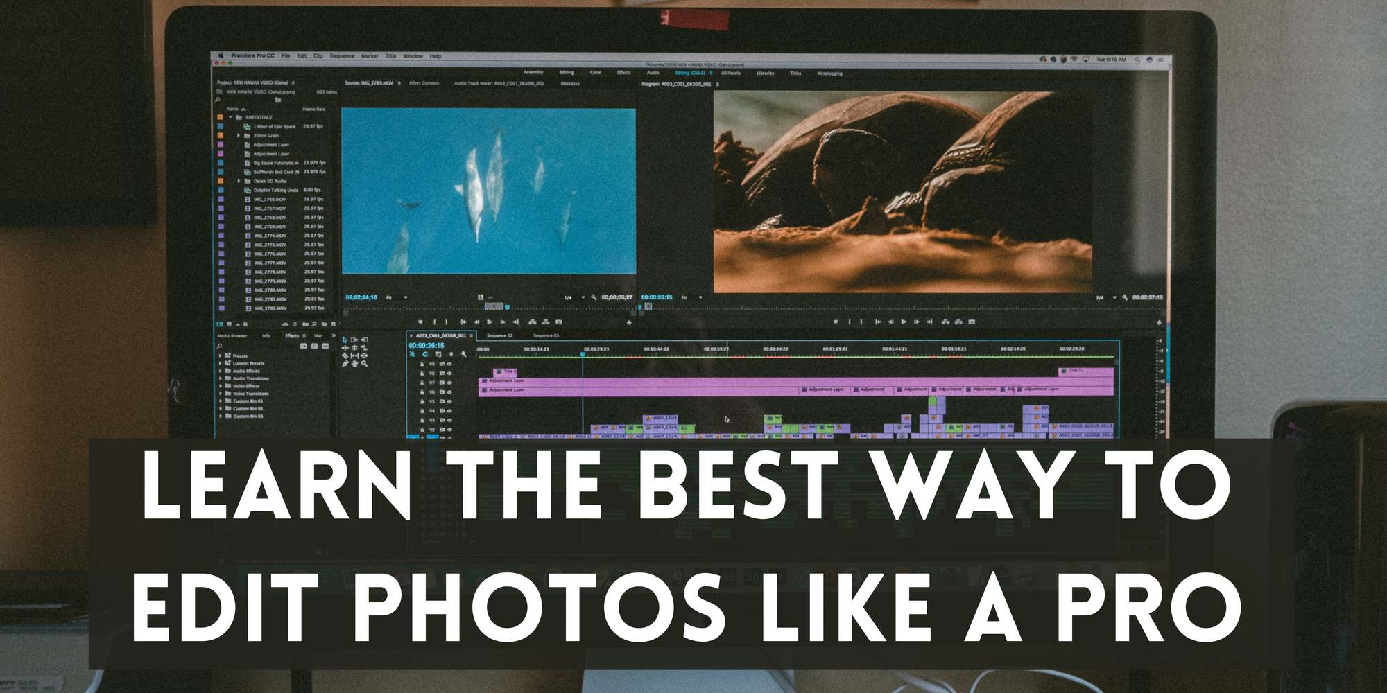 Learn The Best Way to Edit Photos Like a Pro Building Your site