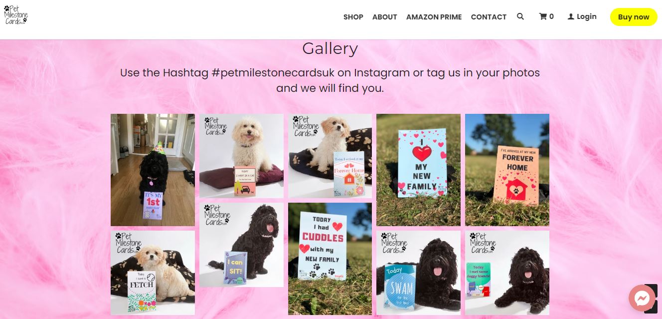 How to Make Better Marketing Campaigns with Hashtags? Building Your