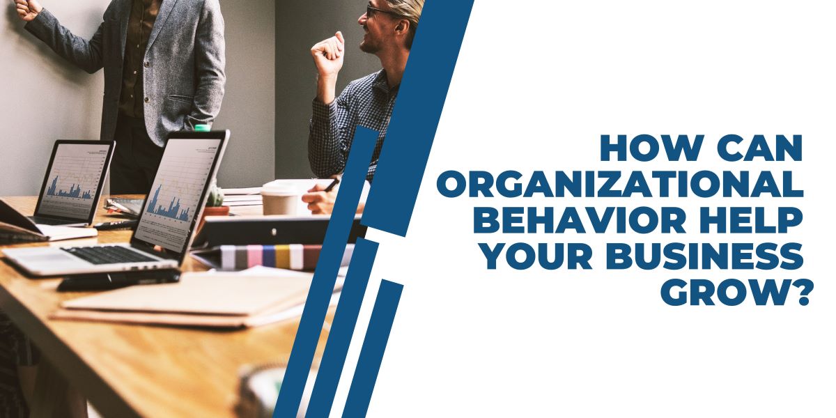 How Can Organizational Behavior Help Your Business Grow Building Your