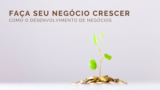 Como o desenvolvimento de negócios pode ajudar seu negócio a crescer ...