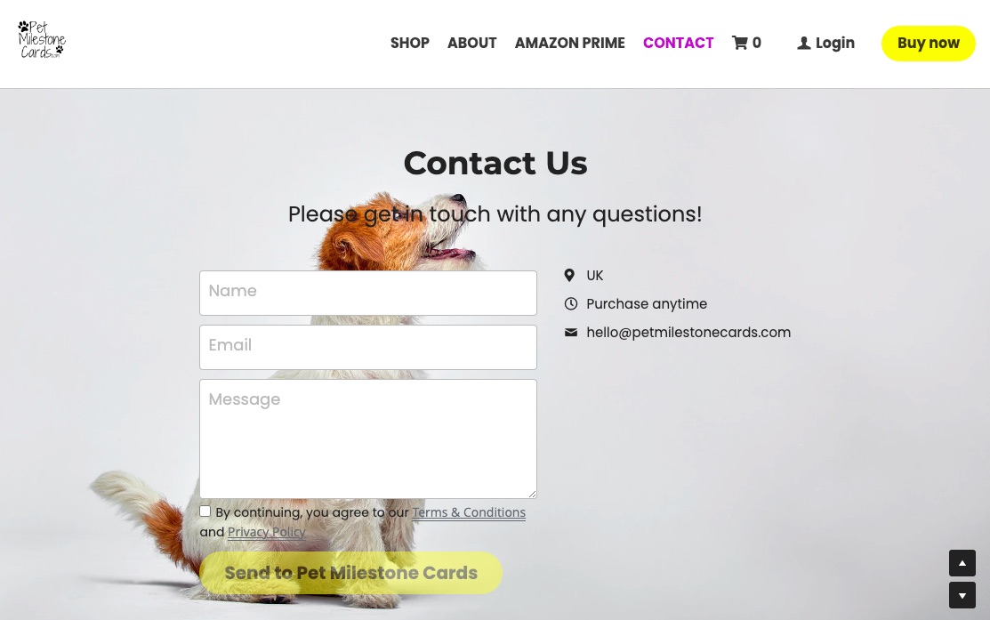 All About Branded Email Addresses in 2023 Building Your site Strikingly