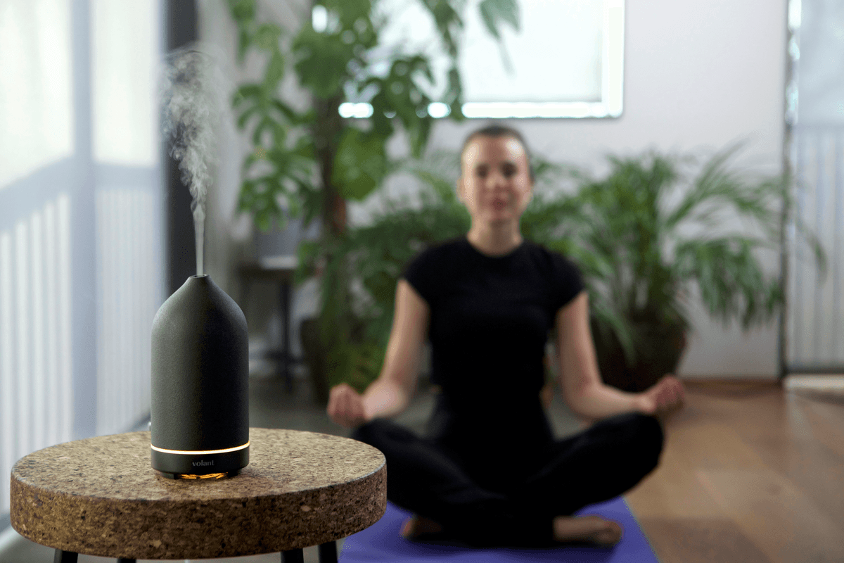 Transform your energy and harmonize your life with our therapies and specialized products. Discover our comprehensive approach for your well-being Holistic therapies
Energy cleansings
Tarot
Family constellations
OM Ganesha store with incenses, candles, smudges, oracles, and accessories