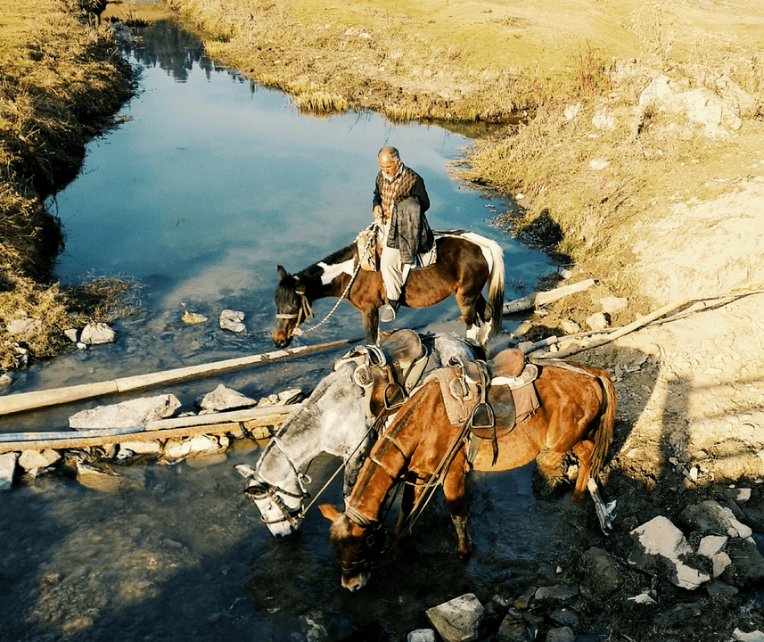 See how top riders use Runner’s Relief as part of their recovery routine to keep horses performing at the highest level @taci_bettis 
Trusted by some of the most respected names in the industry.