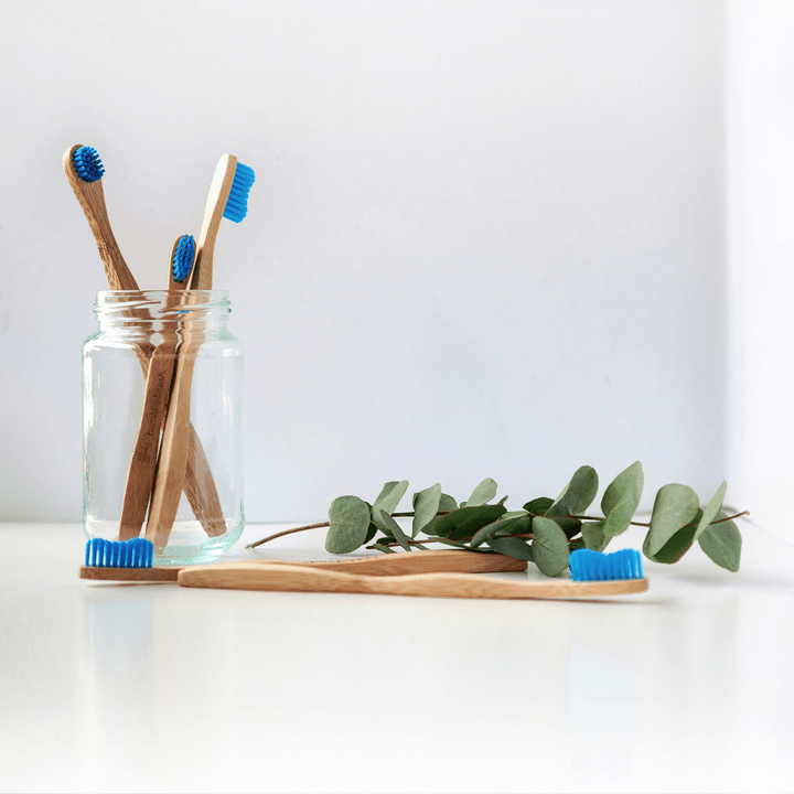 PureBristle Oral Care Co. is a U.S.-based online retailer and wholesale distributor specializing in high-quality toothbrushes and oral hygiene products for the entire family. Our catalog features manual toothbrushes, electric replacement heads, children's brushes, travel kits, and eco-friendly bamboo options—catering to every age, preference, and budget.

We source exclusively from FDA-registered and ISO-certified manufacturers who prioritize safety, durability, and performance. Our bristles are engineered with premium nylon or biodegradable materials, available in soft, medium, and firm grades to accommodate different gum sensitivities and dental needs. Every product is BPA-free, latex-free, and compliant with strict U.S. consumer health regulations.

Beyond basic cleaning, we believe in promoting better oral health habits. That's why we offer ergonomic designs, gum-massaging features, and tongue-cleaning surfaces—helping customers achieve a truly comprehensive daily routine. We also partner with dental prof
