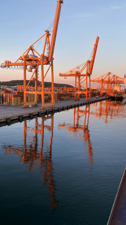 OUR COMMITMENTProviding reliable port equipment and exceptional service since 1992. Established in 1992 as a distributor for Terberg & Konecranes, a leading manufacturer of port equipment, Portunus has grown over 30 years to become a globally recognized supplier of equipment, services, and spare parts, setting an example in its sector. Today, Portunus works with leading port groups worldwide, including APM Terminals, DpWorld, HPH, ICTSI, PSA, TIL, Yılport, and CMA, in over 40 countries.

Portunus is the market leader in Türkiye thanks to its high-quality equipment/component brands, experienced service team, reliable after-sales organization, customer-focused policies, and strong partnerships with manufacturers.