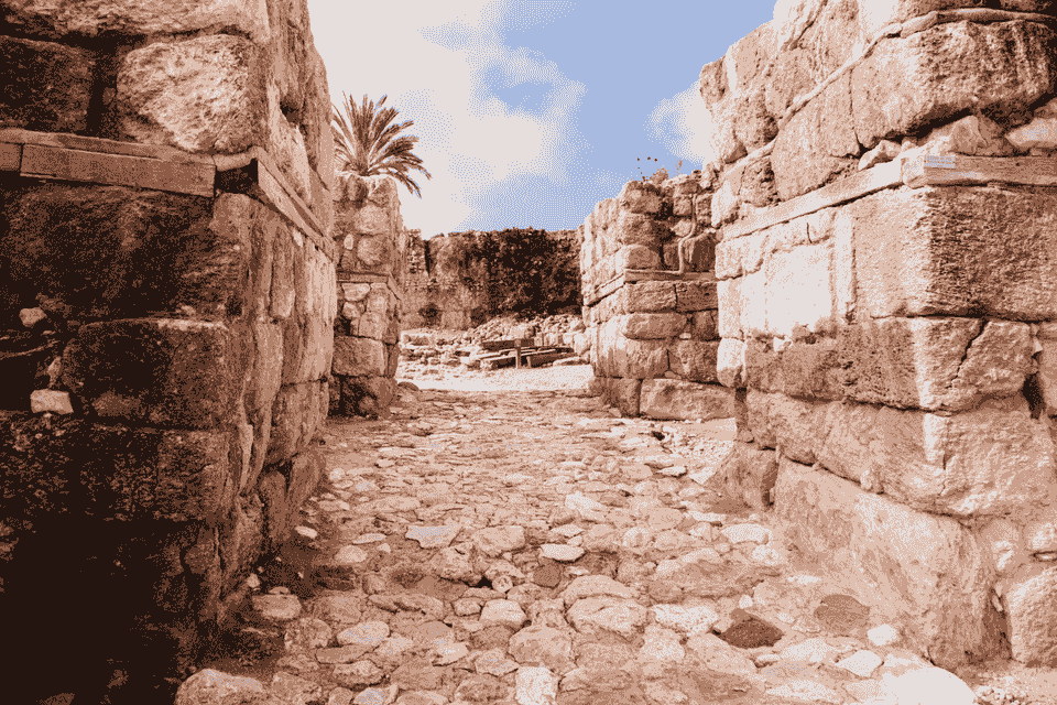 Section image
