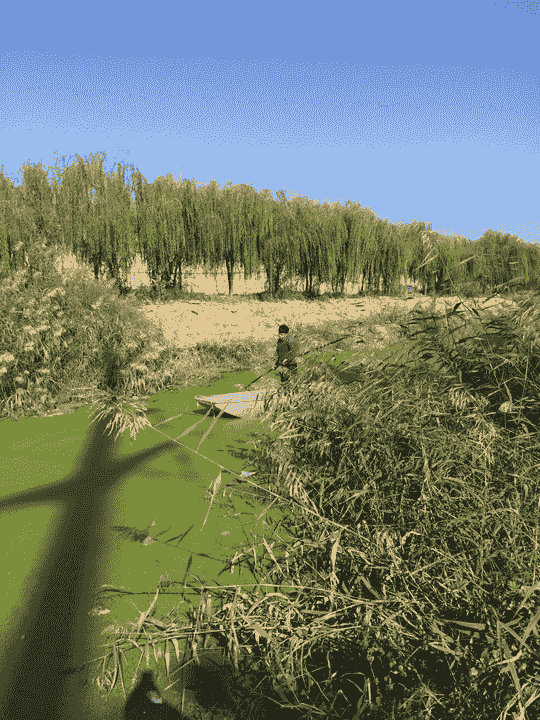 Section image