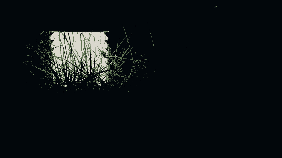 broken image