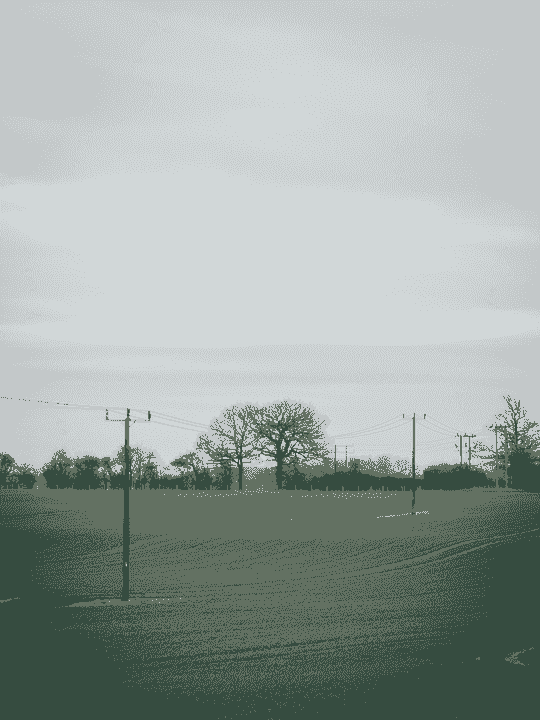 broken image