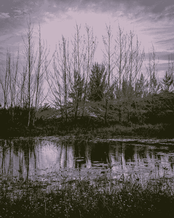 broken image
