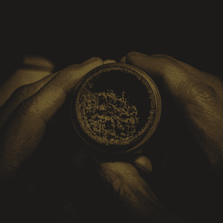 broken image