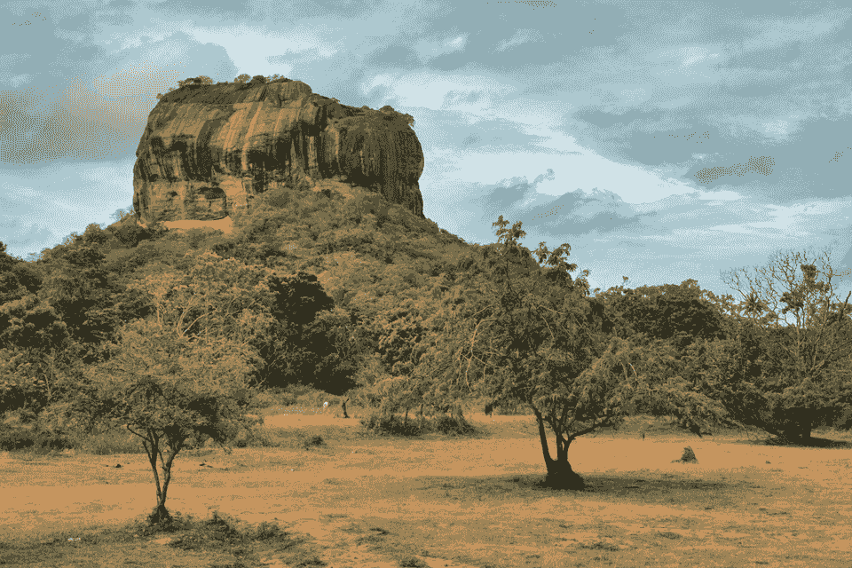 Section image