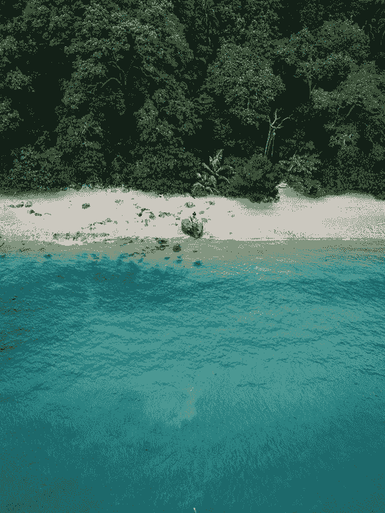 Section image
