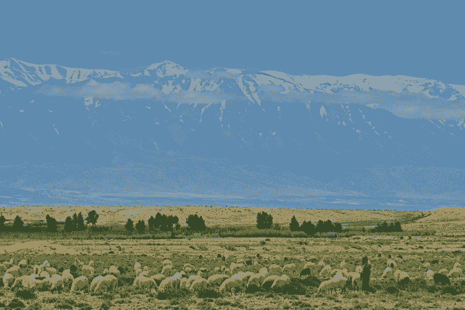 Section image