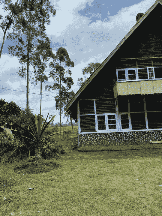 Section image