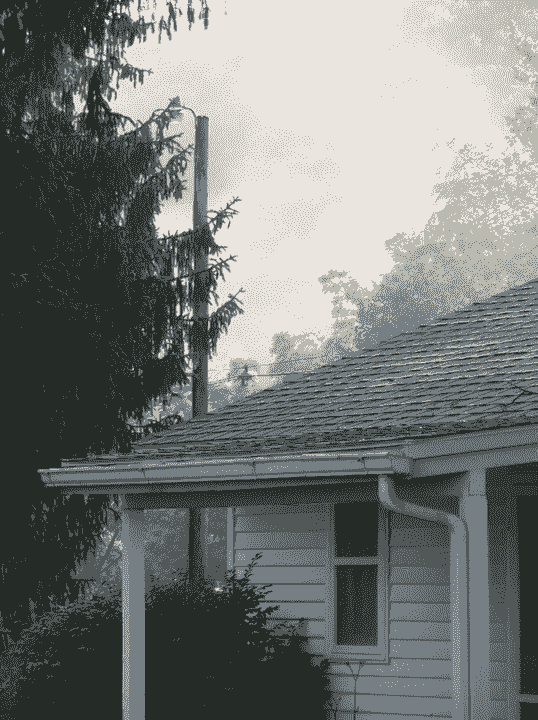Section image