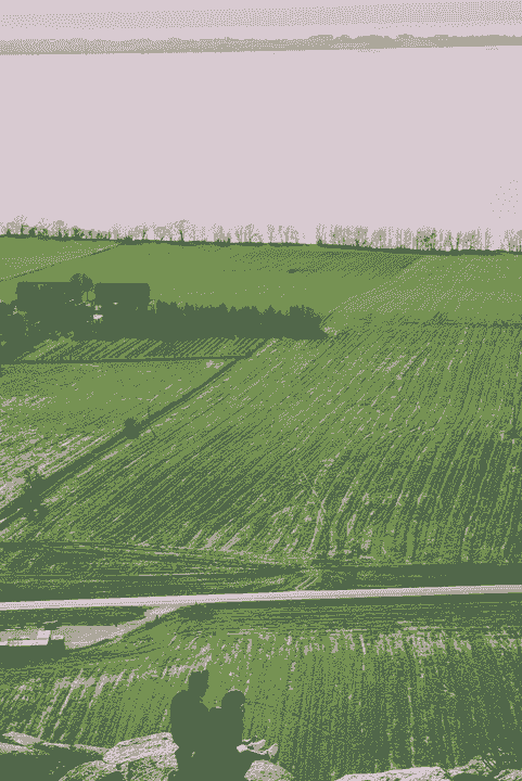 Section image