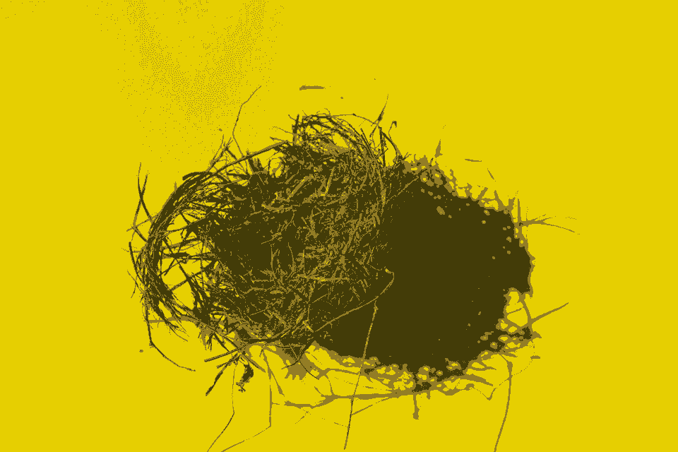 broken image