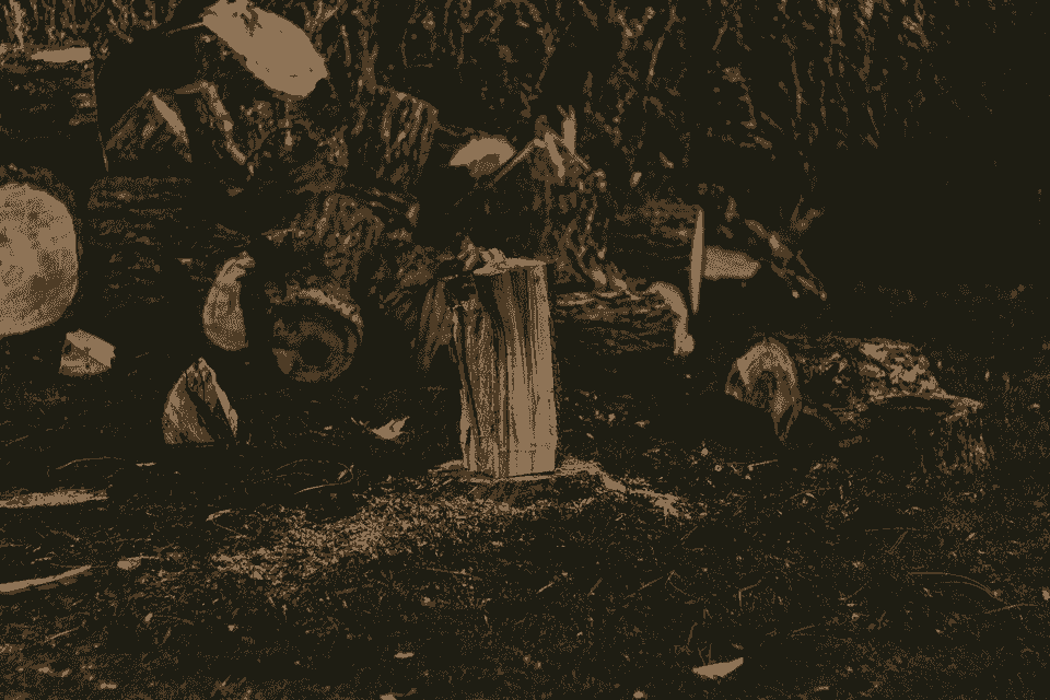 Section image