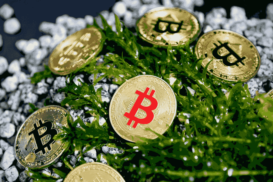 Join Us in the Future of Bitcoin Mining Unlock Your Crypto Potential Bitcoin mining crypto investment redeem gift card trading all crypto mining