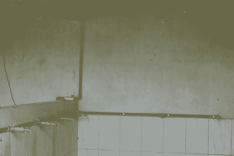 broken image
