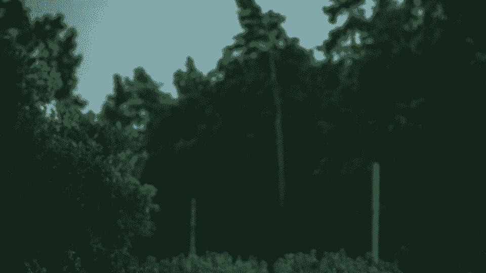 broken image