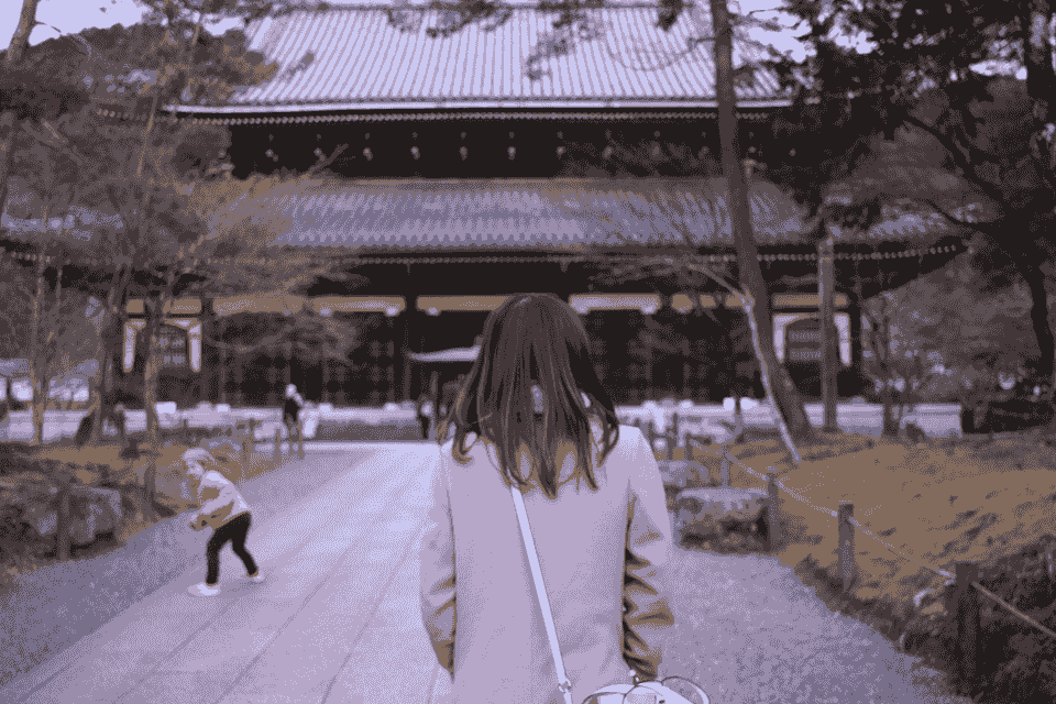 broken image