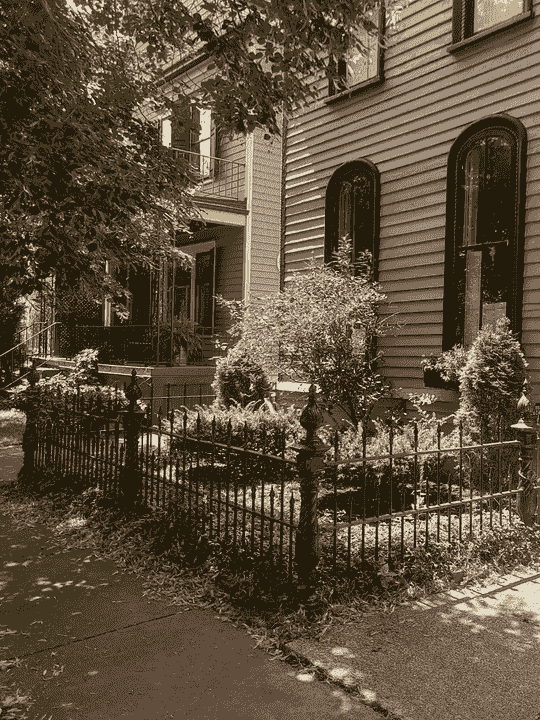Section image