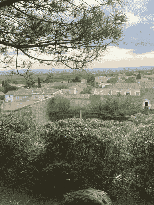 Section image