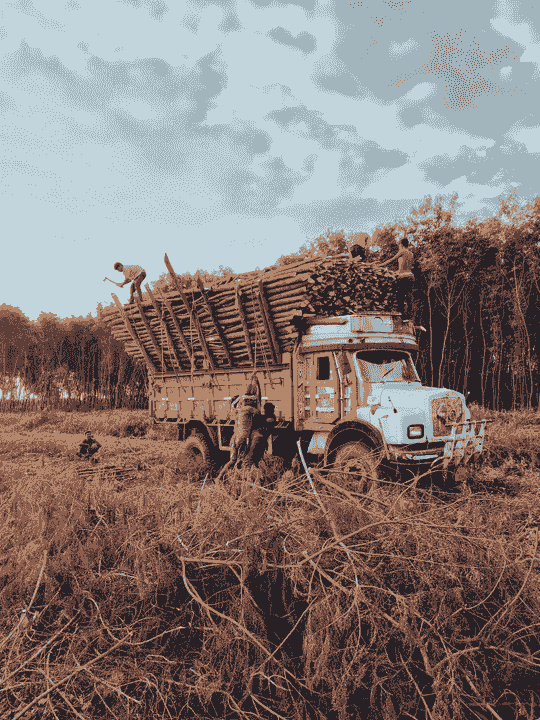 We specialize in the exportation of agricultural products, ensuring that our clients have access to the best goods from our region. Our logistics and supply chain management expertise streamline the export process, making it efficient and reliable for our partners worldwide. Exportation Services What We Do General merchants contractors dealing in  agricultural productions and exportations, real estate Agents