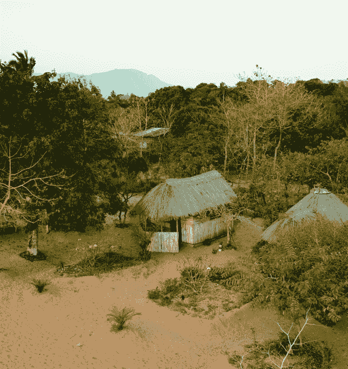 Section image