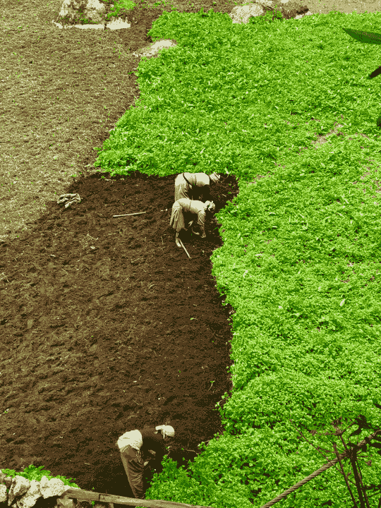 Our agricultural initiatives focus on sustainable practices, enhancing food security, and supporting local farmers. Agriculture What We Do Nature of our Business is coved: Commerce, Agriculture, Education, Goods processing, fabrication and General business.