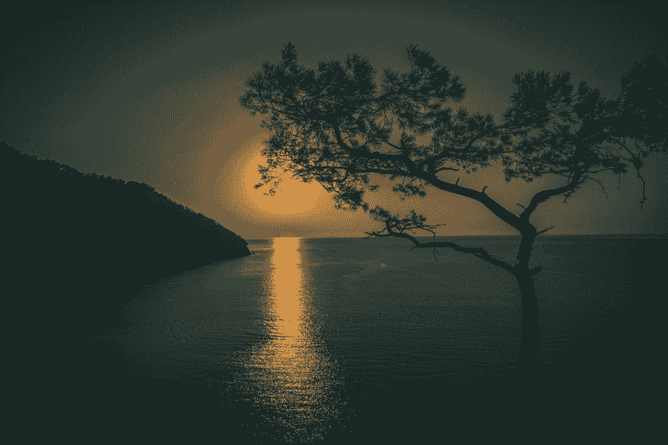 broken image