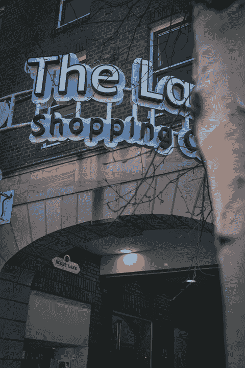 — Samantha Lee “The insights and support from Ecom Xpress made a huge difference in my store's traffic and revenue.” Our team has empowered over 500 Shopify stores to enhance their online presence An agency who specialized in helping shopify store to increase their online presence for better sales and traffic