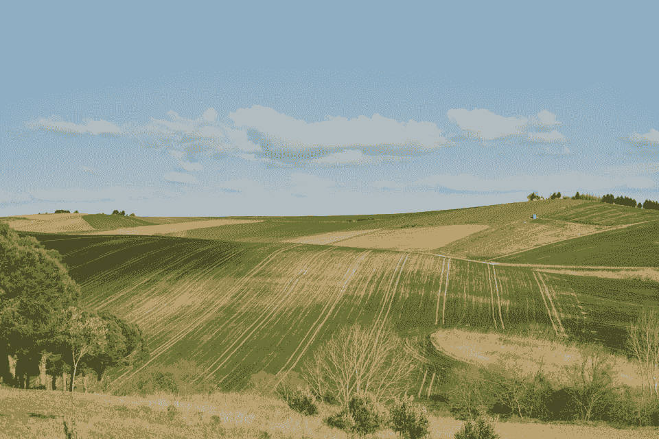 Section image