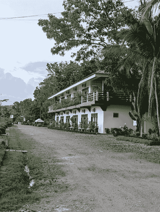 Section image
