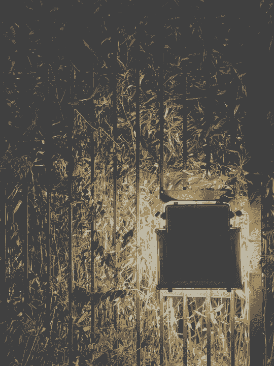 broken image