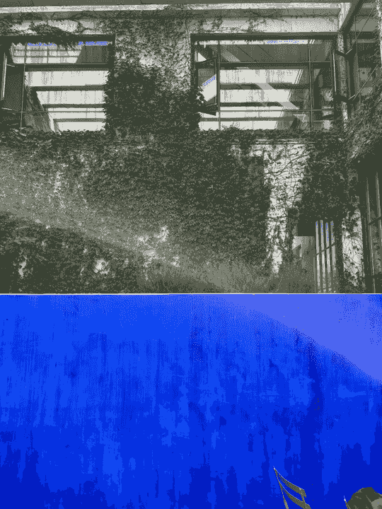 Section image