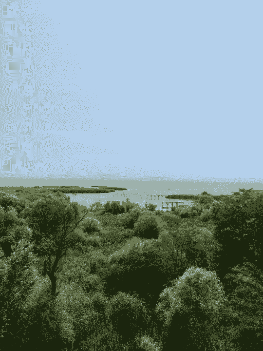 Section image