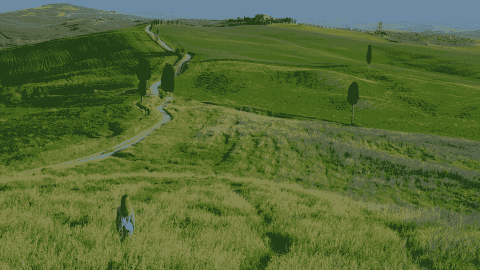 Section image