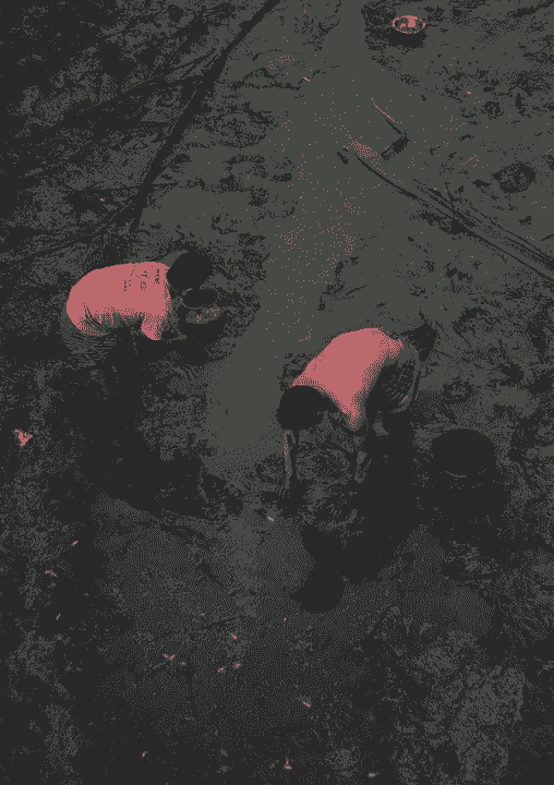 Section image