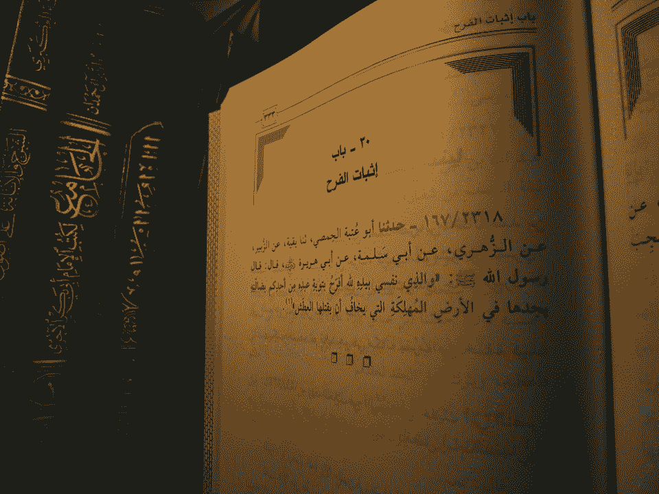 The Maarifa Project