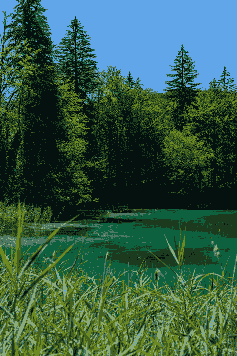 Section image