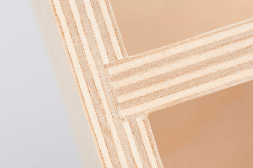 Section image