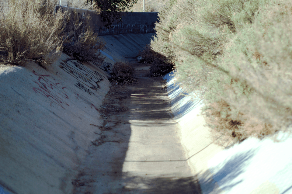 Section image