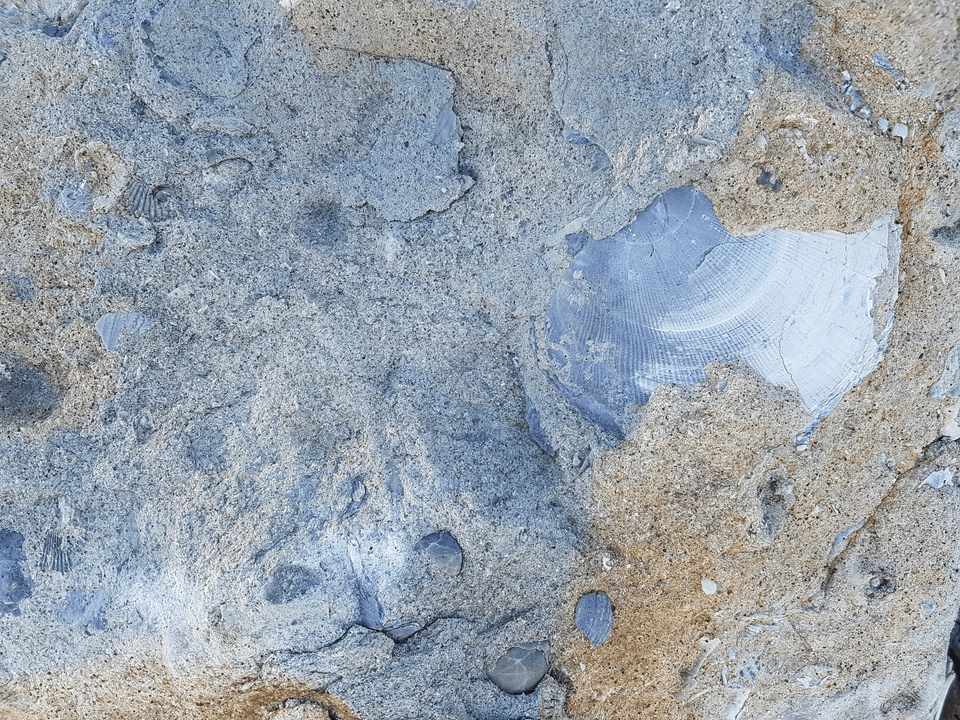 Section image